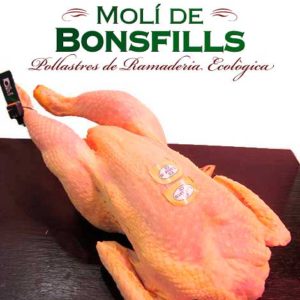 Pollastre Moli de Bonsfills sencer