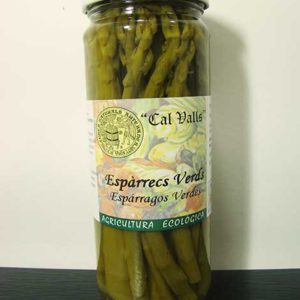 Espàrrecs verds 420gr CAL VALLS