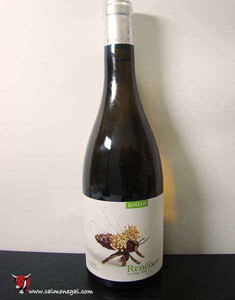 Vi blanc “Renéixer” 75cl IGNEUS