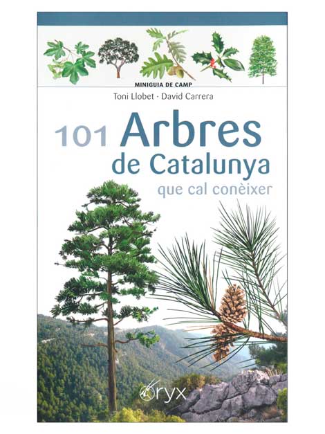 101 arbres de Catalunya que cal conèixer (Llibre)