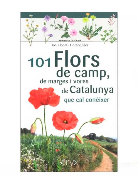 101 Flors de camp, de marges i vores de Catalunya que cal conèixer (Llibre)
