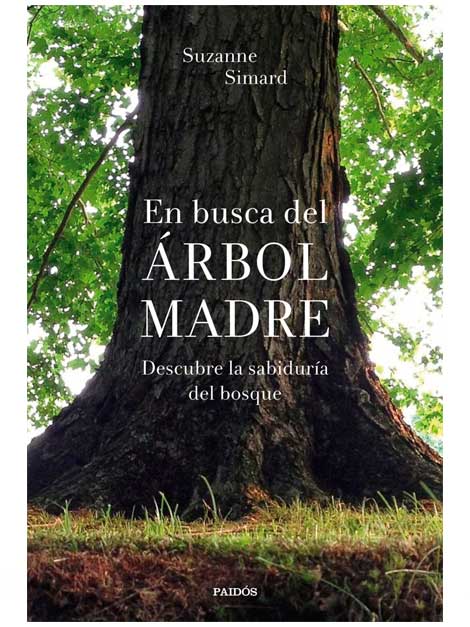 En busca del árbol madre (Llibre)