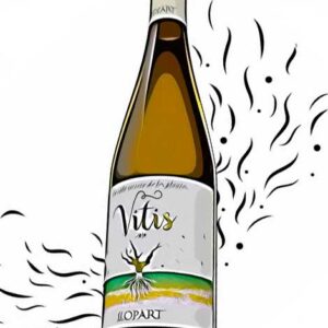 Vi blanc Vitis 75cl LLOPART