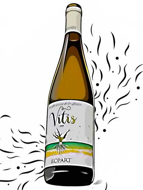 Vi blanc Vitis 75cl LLOPART