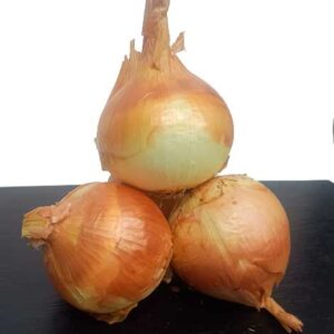 Ceba seca "reca catalana" 1Kg