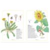 Inventari il·lustrat de flors (Llibre)