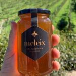 Mel de bruc / Maresme 500gr MELEIX