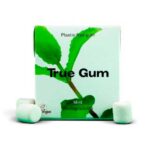 Xiclets de menta 21gr TRUE GUM